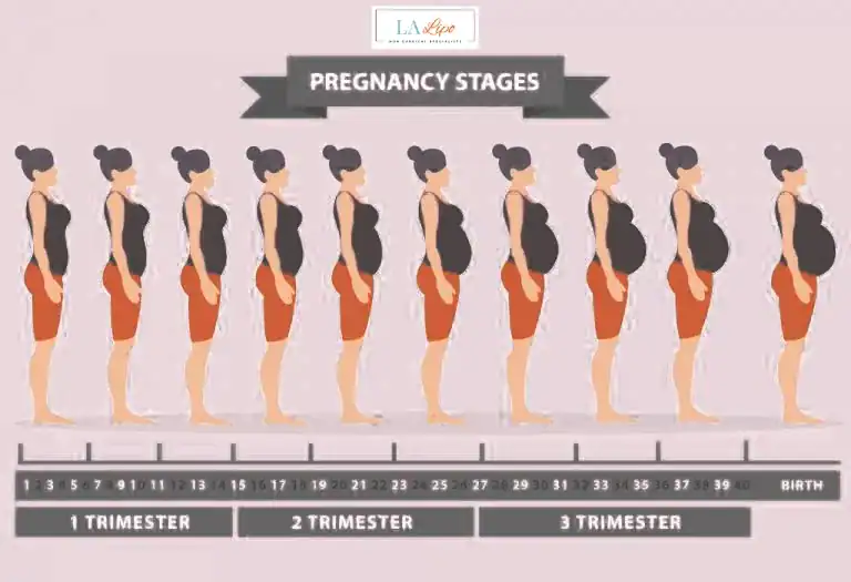 First Trimester (Weeks 1–12): Early Changes You Might Not Notice Malvern Wells